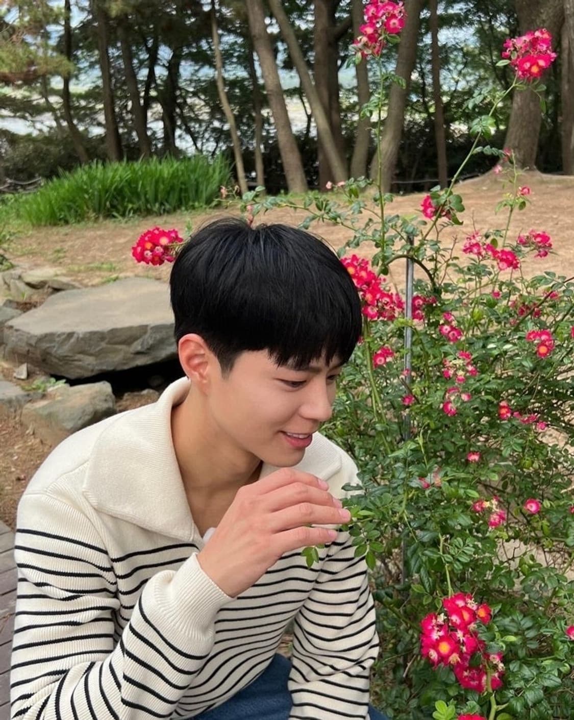 셀린느 20ss 오픈 카라 스트라이프 니트 스웨터 L 상품이미지3