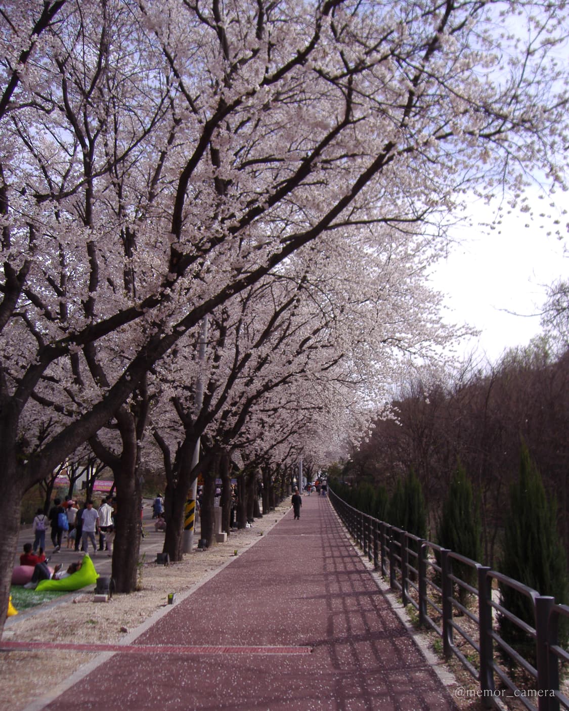 필카무드/입문자추천🌸OLYMPUS CAMEDIA X-600 올림푸스디카 상품이미지7