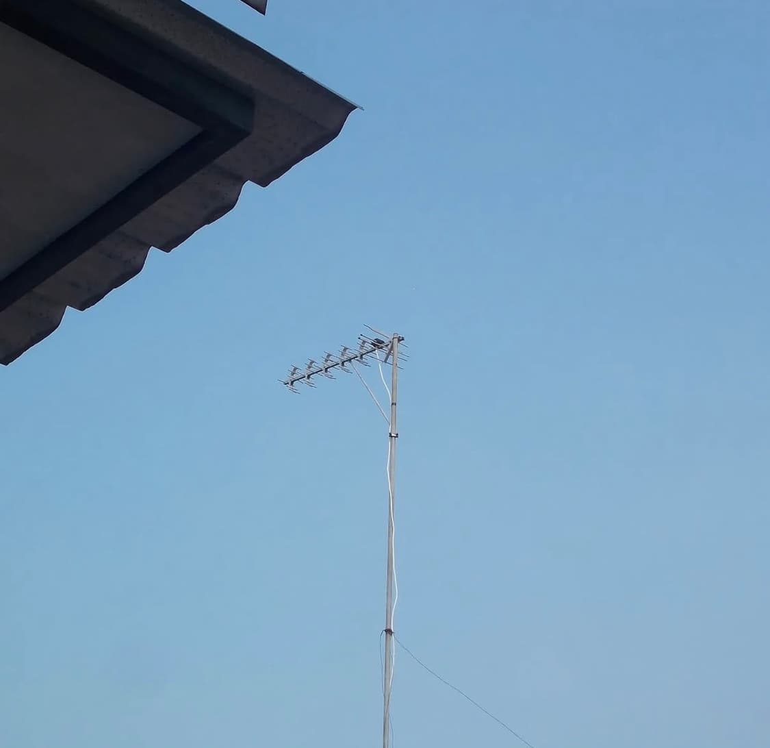 Nikon COOLPIX 니콘 쿨픽스 L23 디지털카메라 디카 상품이미지7