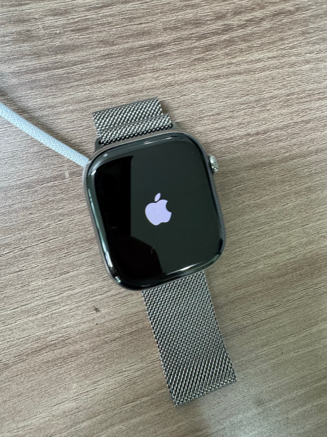애플워치 10 티타늄 내추럴 46mm 밀레니즈루프 + 애캐플 상품이미지8
