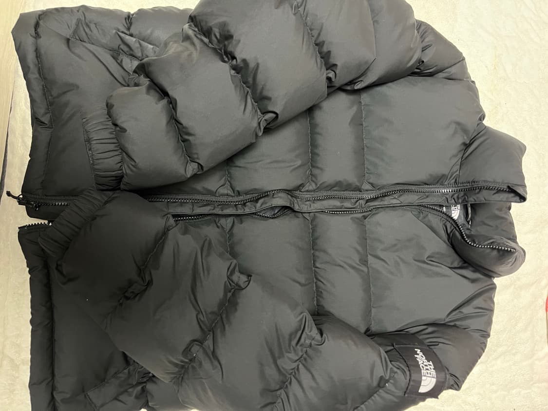 노스페이스 패딩 100 라지사이즈 상품이미지1