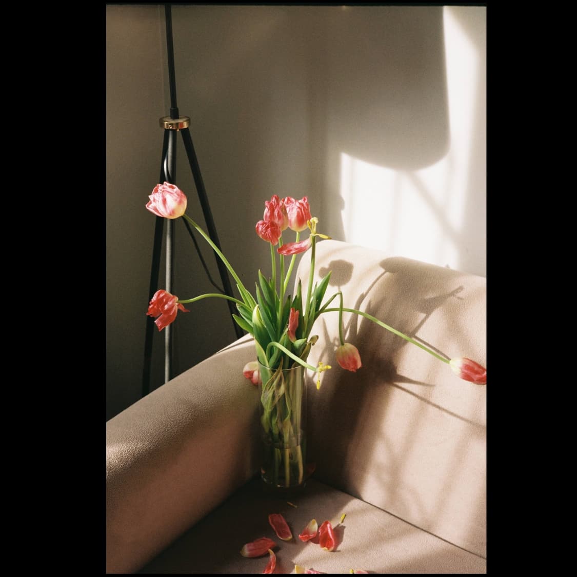 필름카메라 야시카 일렉트로 35gx 블랙(작례 0) 상품이미지3