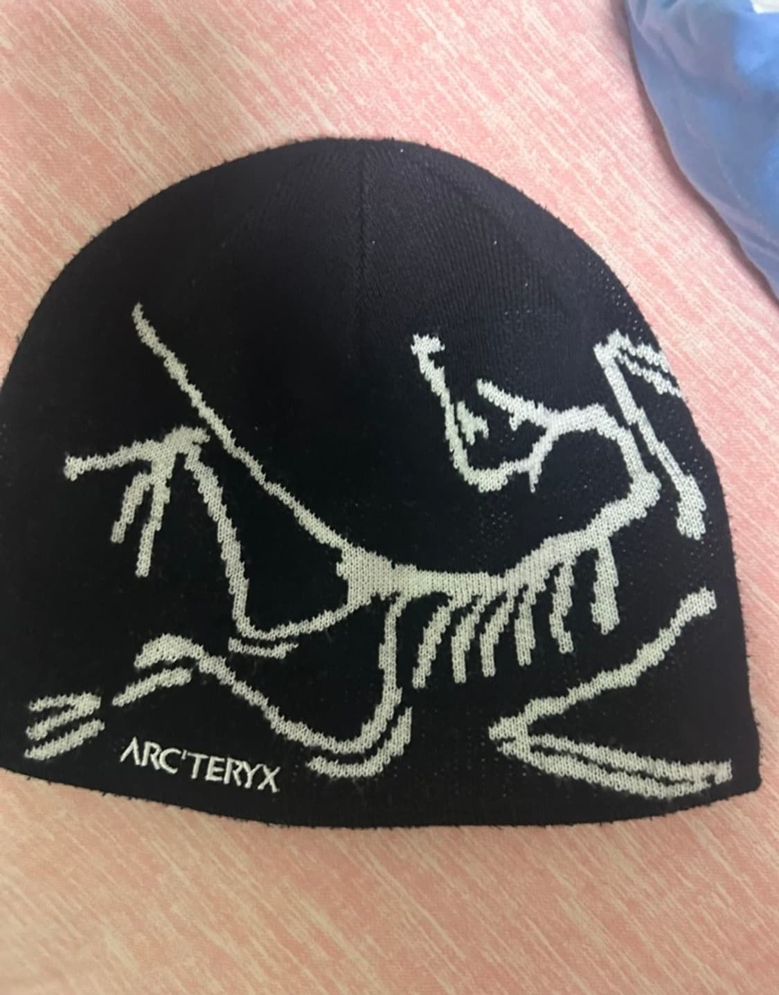 아크테릭스 비니 상품이미지1