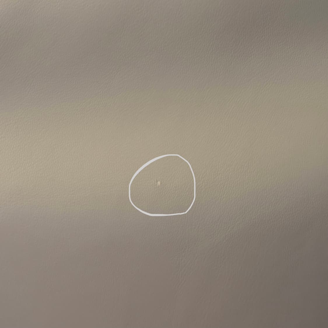 아디다스 포우 레더 파이어버드 트랙수트 자켓 원더 베이지 M 사이즈 상품이미지2