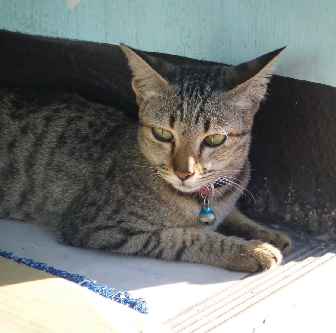 후지필름 파인픽스 Fujifilm FinePix AV210 디지털카메라 상품이미지8