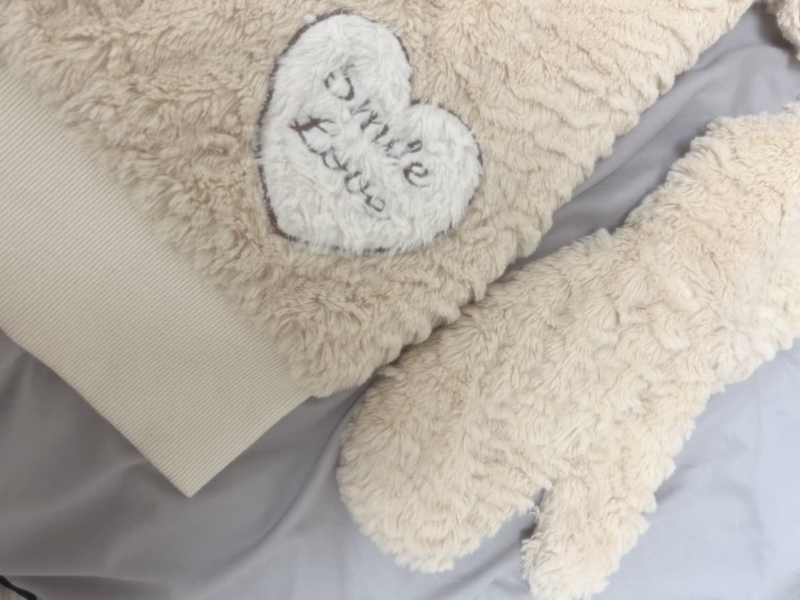 빈티지 젤라또피케깔 라떼 우사미미 에코퍼 집업 리즈리사 양산형 로리타 상품이미지3