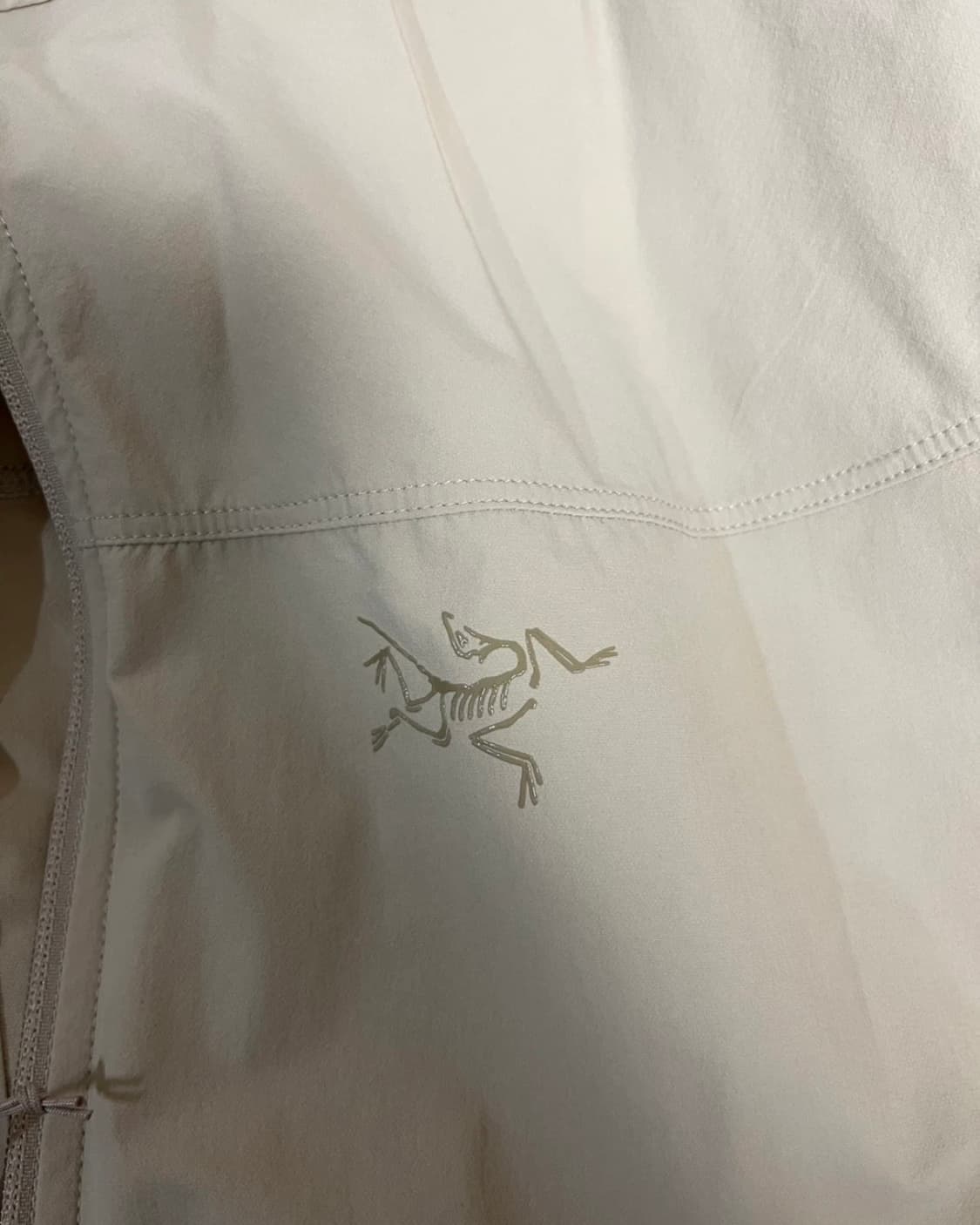 아크테릭스 감마 라이트웨이트 후디 M 상품이미지3