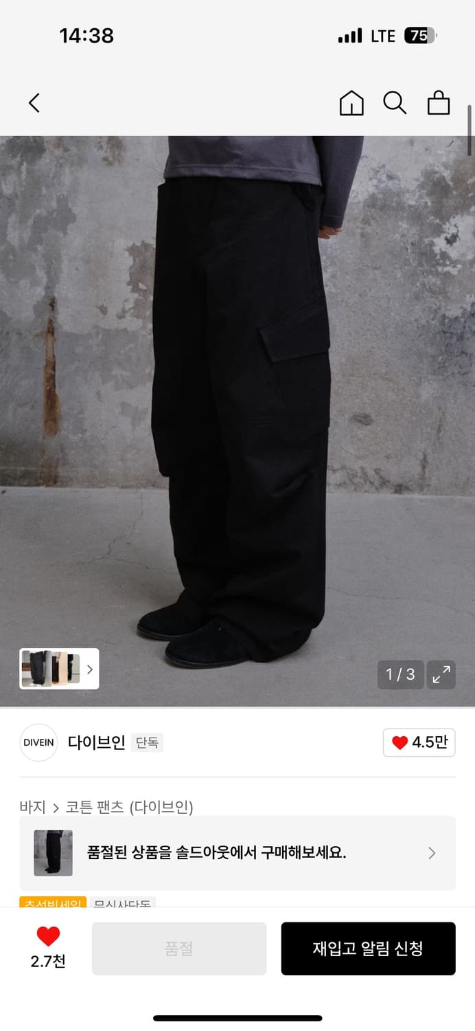 다이브인 카고팬츠 1사이즈 상품이미지1