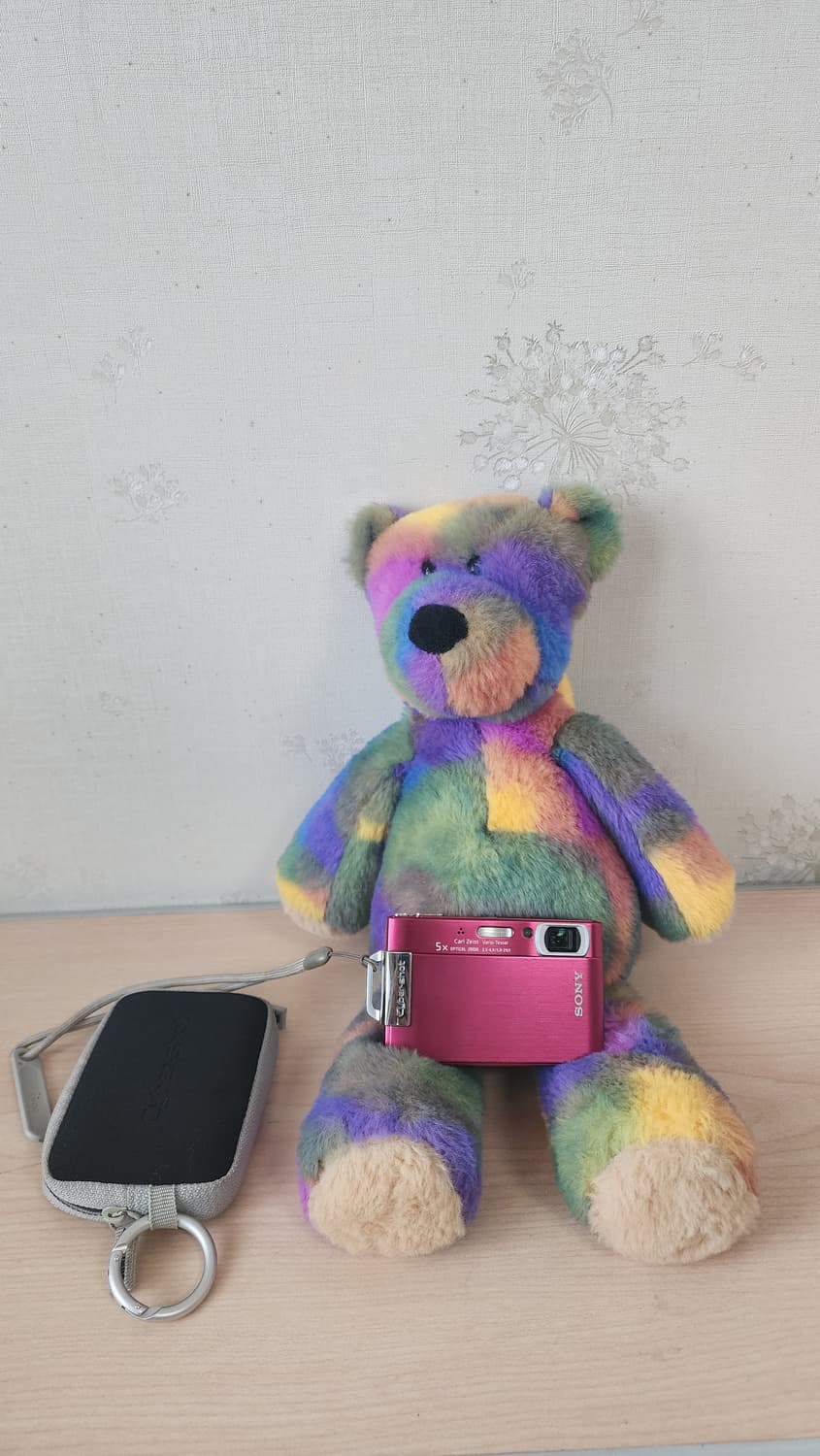 소니 디지털 카메라 DSC-T200 상품이미지5