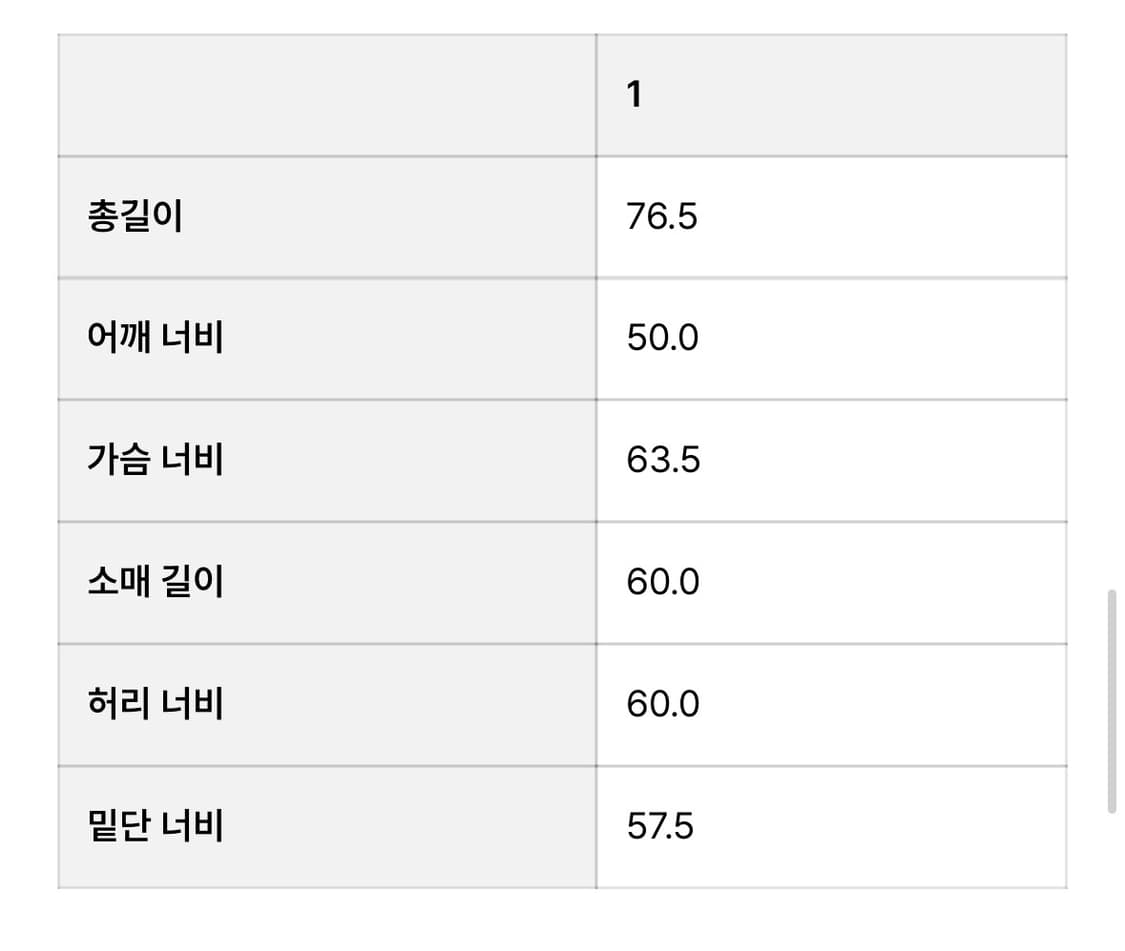 open yy 마운틴 자켓 1사이즈 상품이미지2