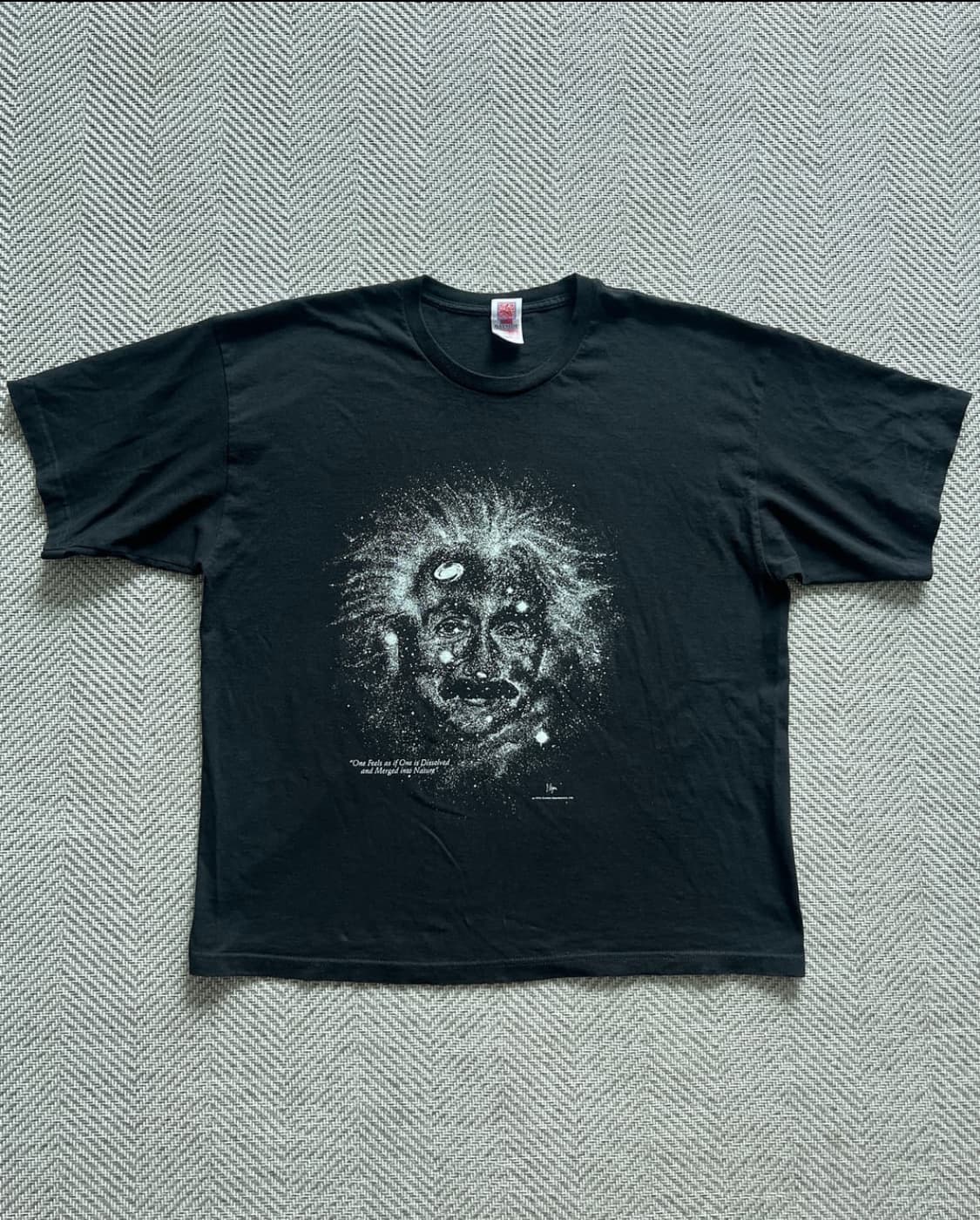 (2xl) 90s 아인슈타인 반팔티 상품이미지2