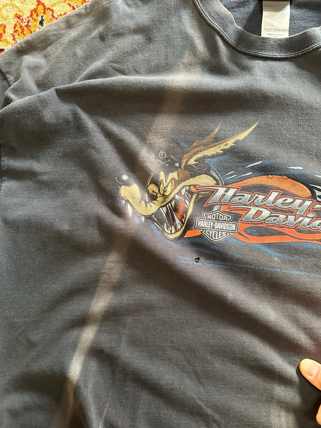 할리데이비슨 x 루니툰즈 '와일드 코요테' 파이어 롱슬리브 - 4XL 상품이미지6