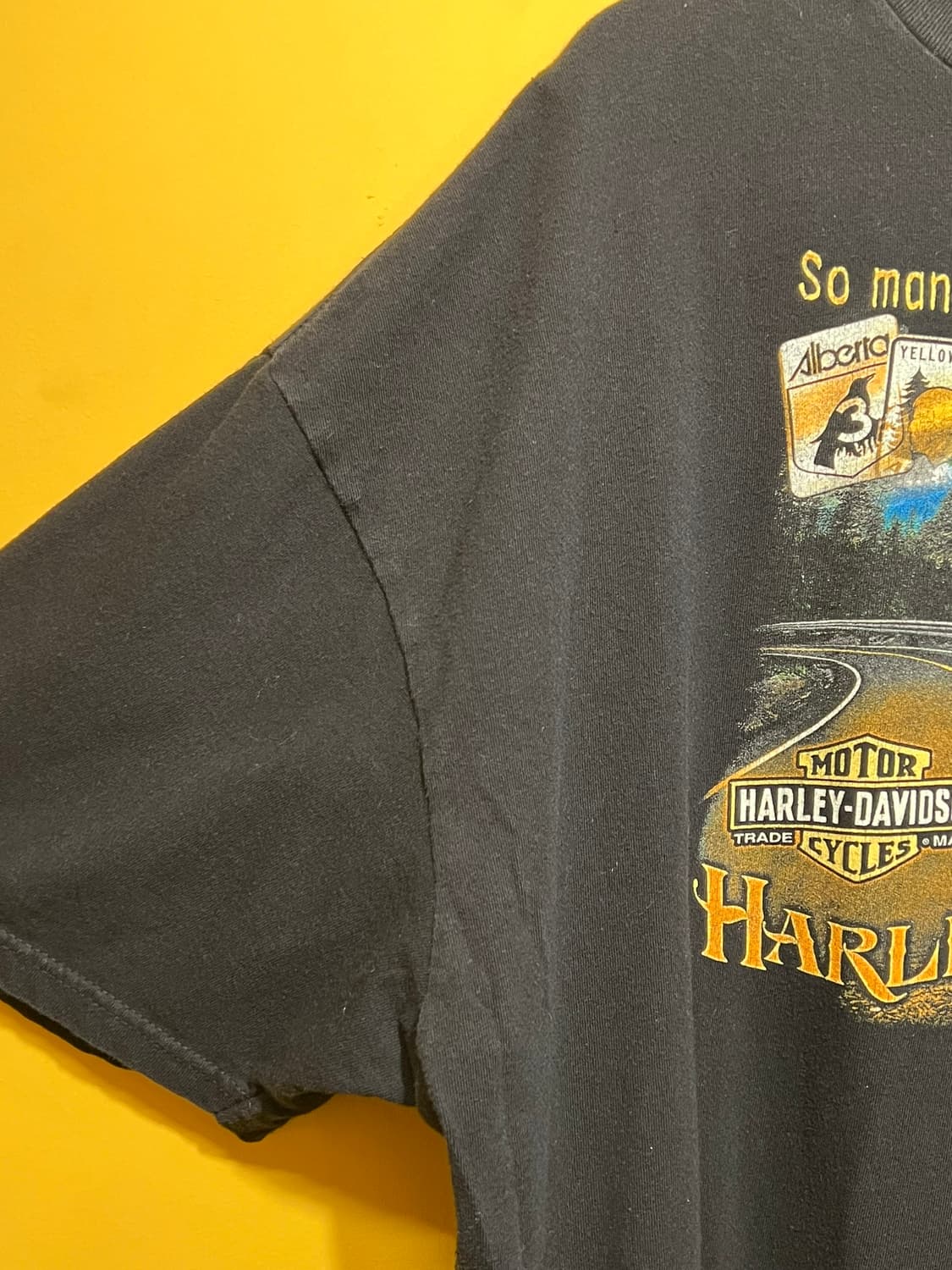 [3XL] 할리데이비슨 캐나다 Saint John 반팔 티셔츠 상품이미지4