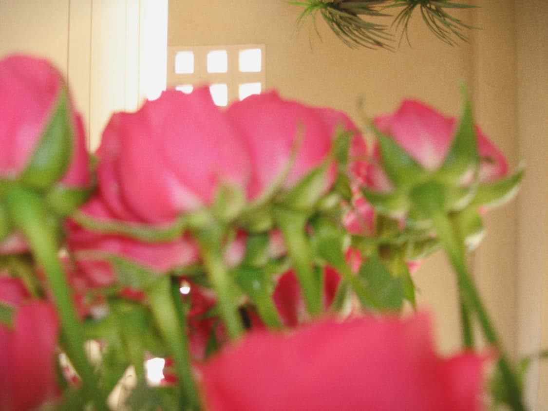 소니 사이버샷 dsc-n2 (작례포함) 상품이미지8