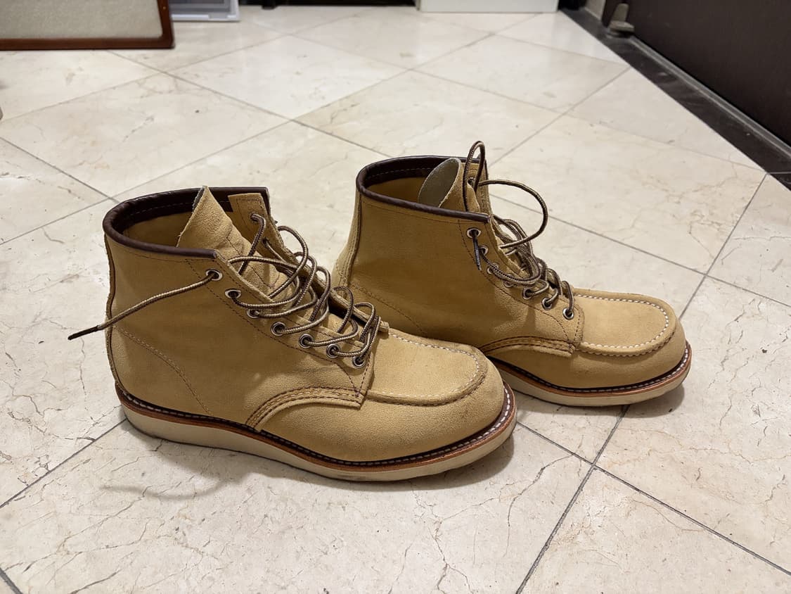 레드윙 8833 상품이미지4