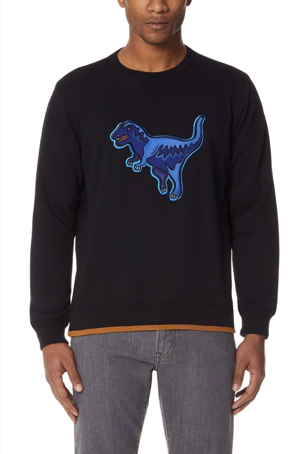 코치 렉시 다이노 맨투맨 M 상품이미지7