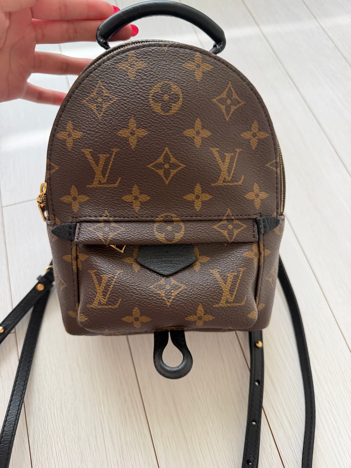 환연지연가방) 루이비통 팜 스프링스 미니 백팩 상품이미지2