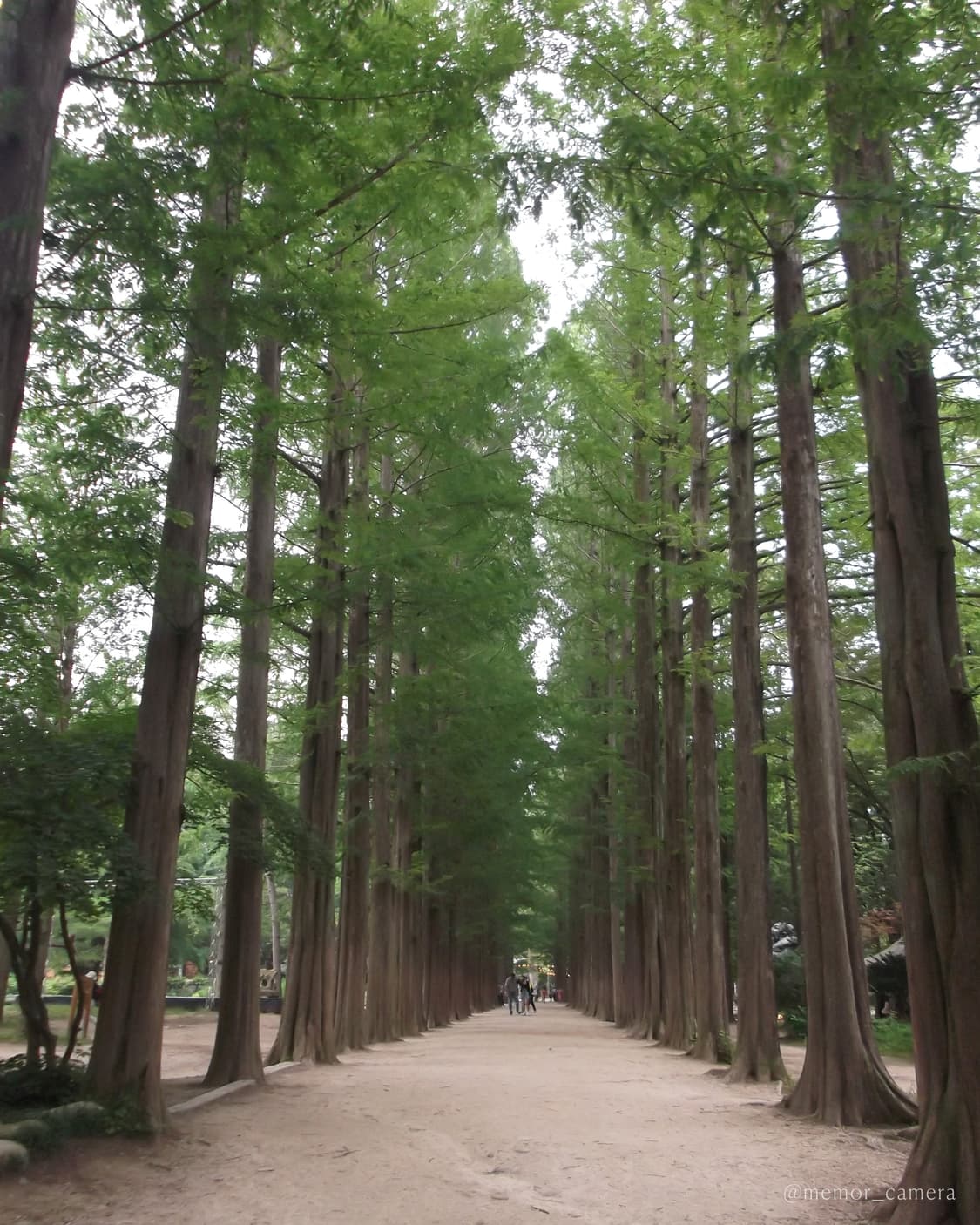 풀박스/한국어지원✨ FUJIFILM FinePix JX400 후지필름 상품이미지8