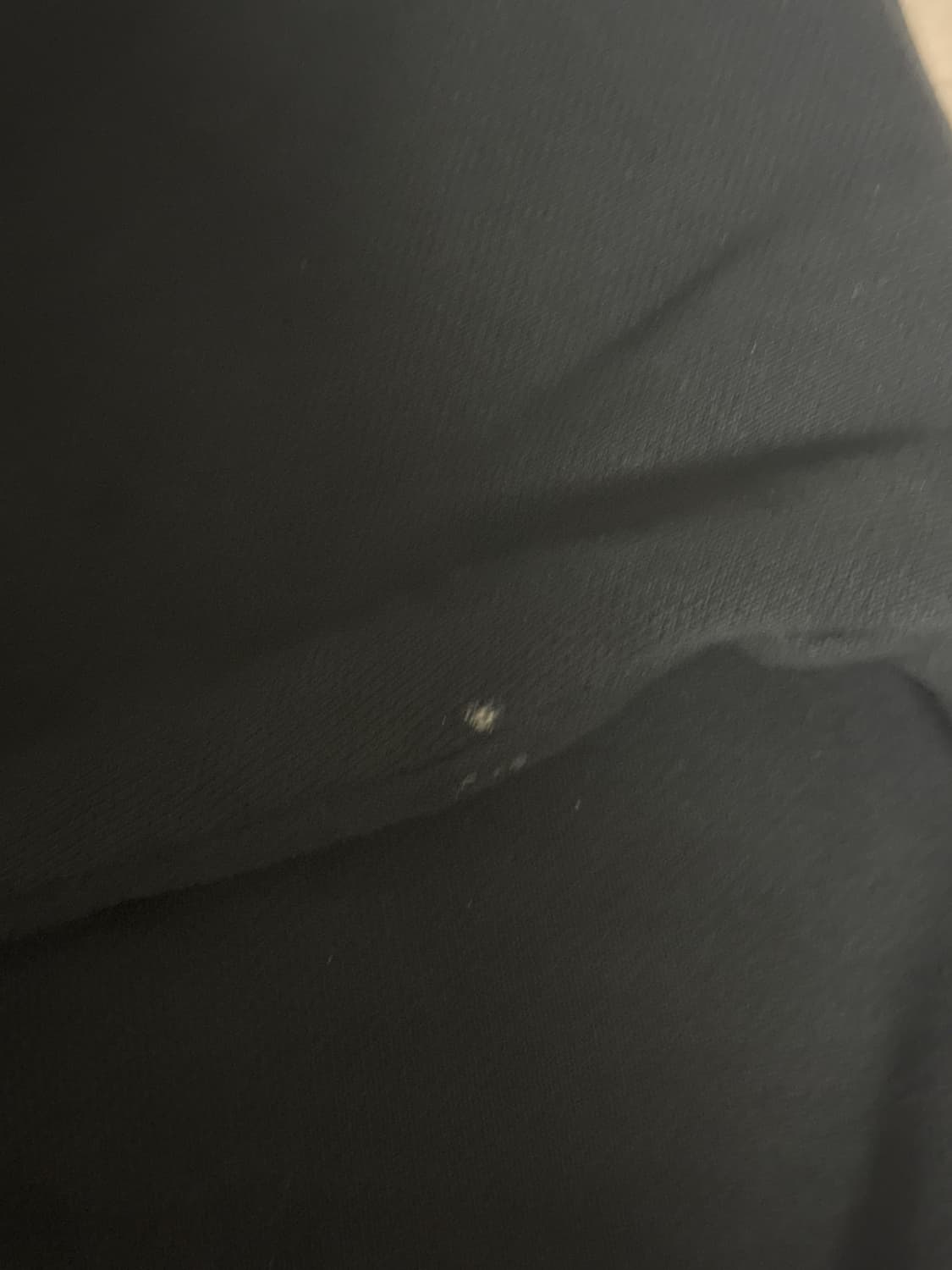 이지갭 후드 상품이미지3