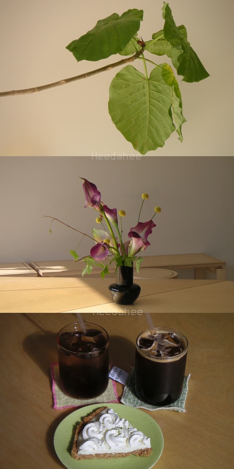 레어) 미놀타 DiMAGE Xt 작례⭕️ | 초슬림 바디 | 필름톤 상품이미지2