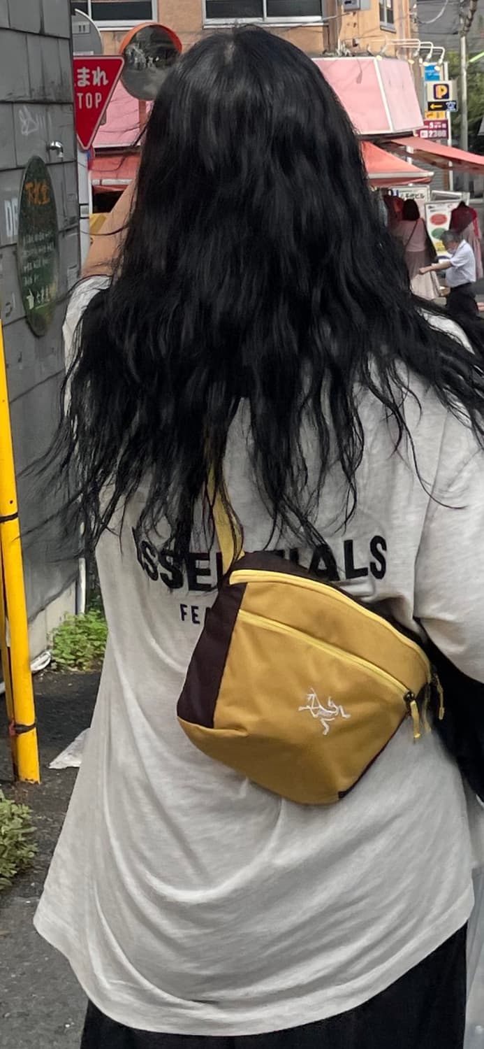 아크테릭스 맨티스2 웨이스트백 리트릿 비터스 상품이미지7