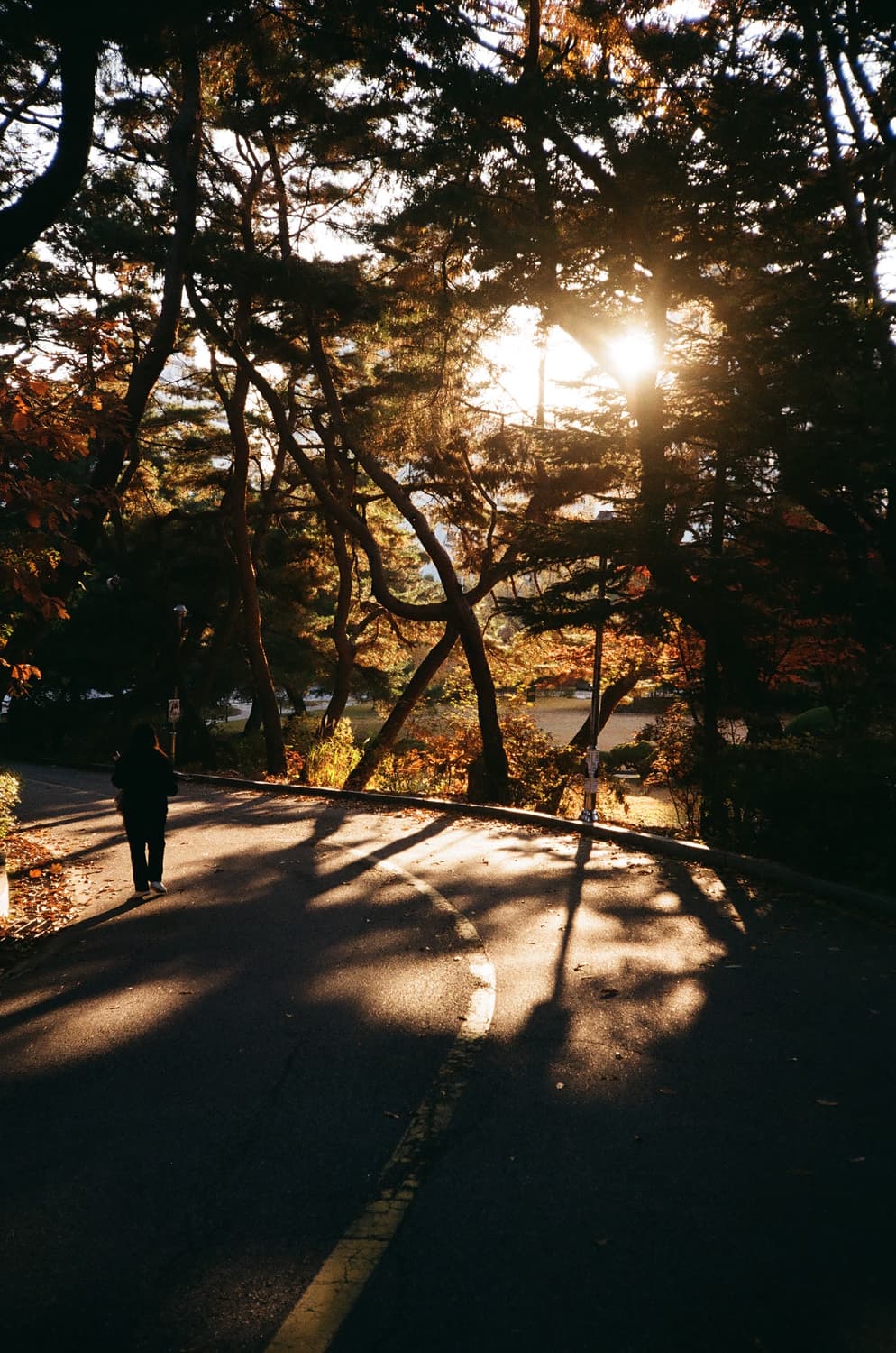 코니카 C35 flashmatic 필름카메라 + 파나소닉 플래시 상품이미지10