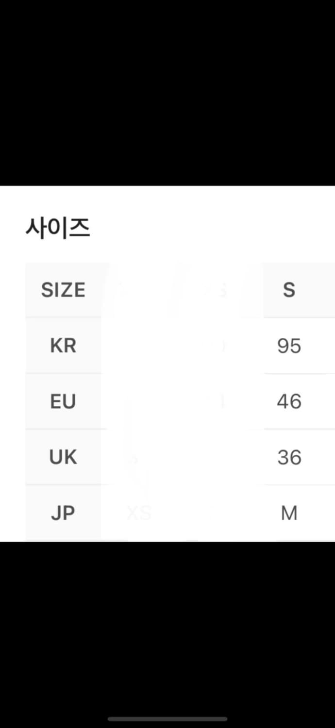 아크테릭스 sl후디 s 상품이미지3