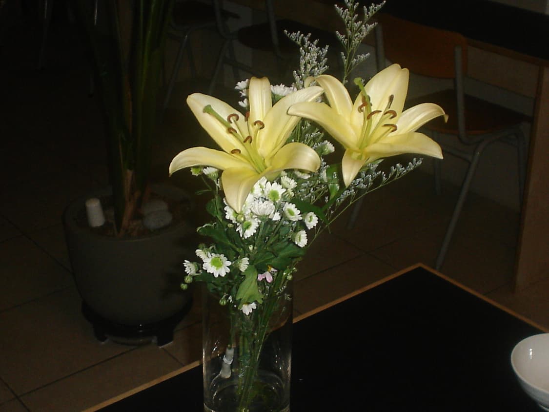 소니 샤이버샷 p43 상품이미지3