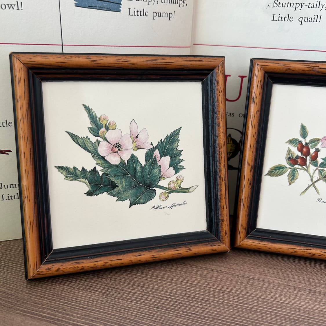 빈티지 보태니컬 꽃 액자 세트  상품이미지8