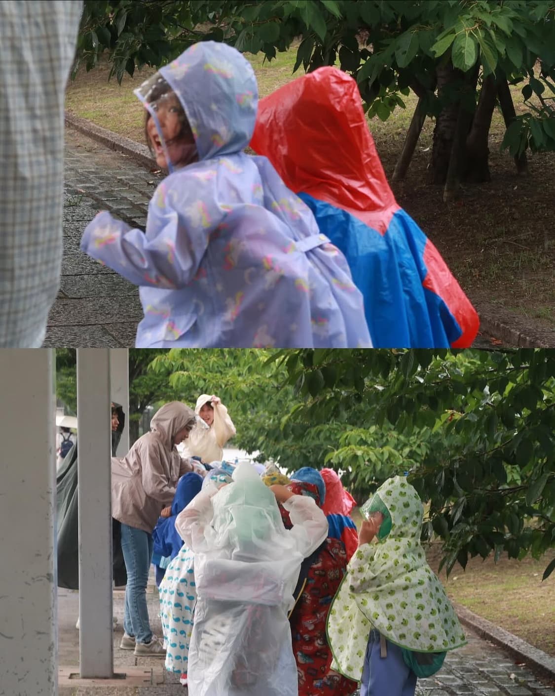 아이폰 6s 로골 64기가 판매해요 상품이미지6