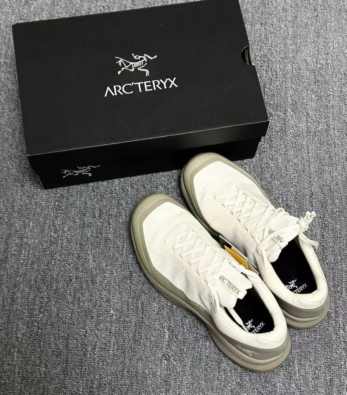 아크테릭스 에어리어스 FL 2 고어텍스 아크틱 실크 스모크 상품이미지1