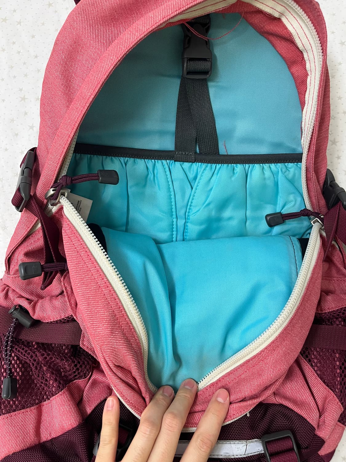 노스페이스 HOT SHOT 핑크 백팩 🎀 상품이미지3