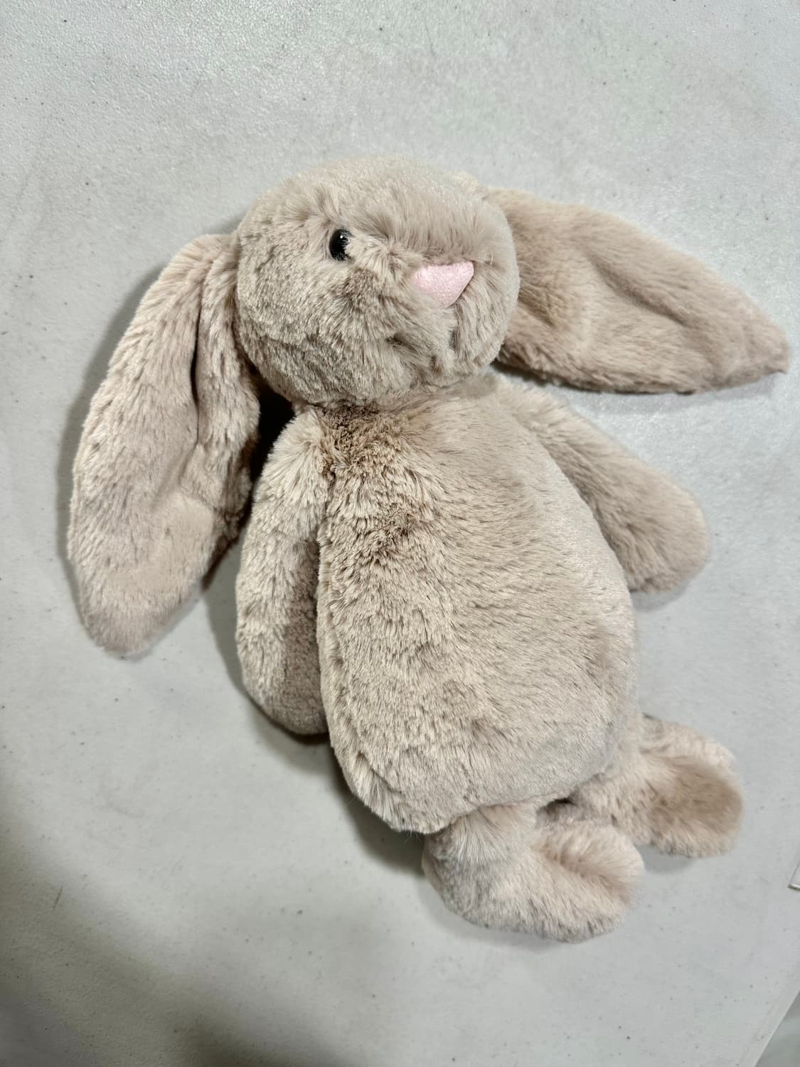 젤리캣 바쉬풀 버니 미디움 베이지  새상품 상품이미지2