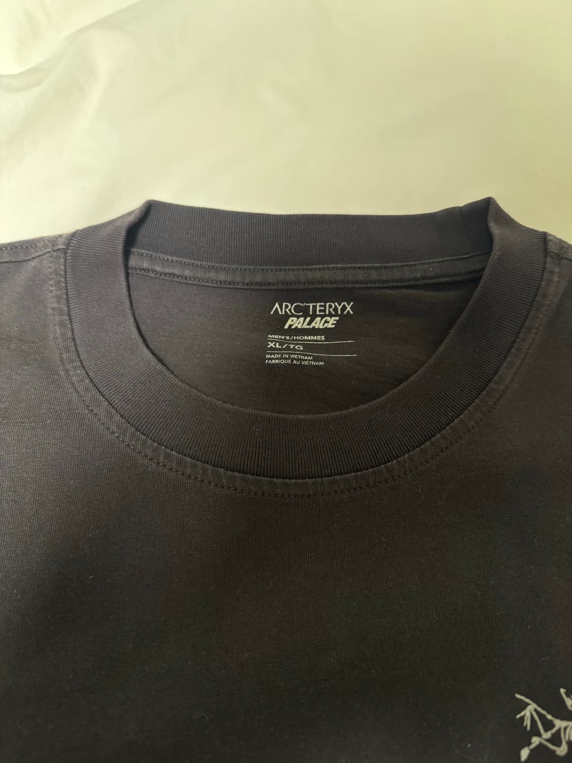 Palace x Arcteryx 팔라스 아크테릭스 티셔츠 상품이미지6