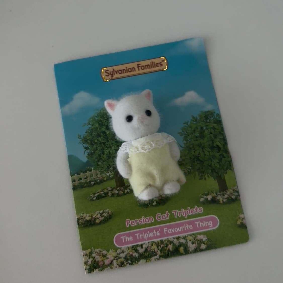 실바니안 초콜릿 토끼, 페르시안 고양이 직립 상품이미지3