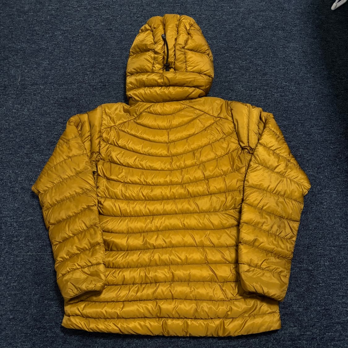 아크테릭스 세륨 LT 후디 여성용 상품이미지9