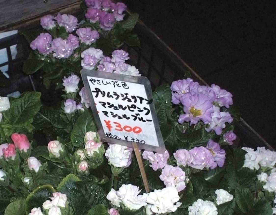 📻레트로감성 🌷후지필름 FinePix 50i ✨ 상품이미지5