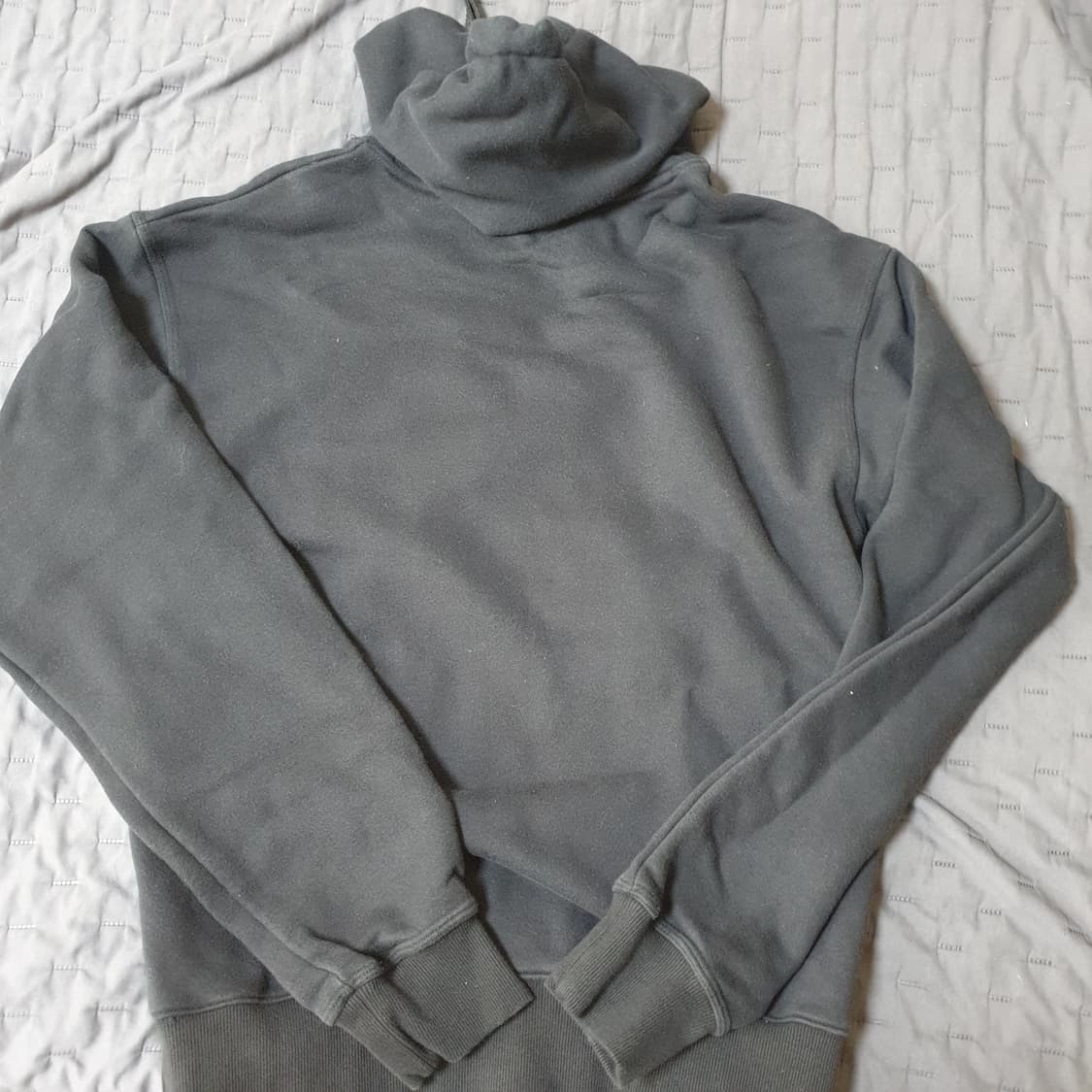 스투시 라이언 후드티  상품이미지2