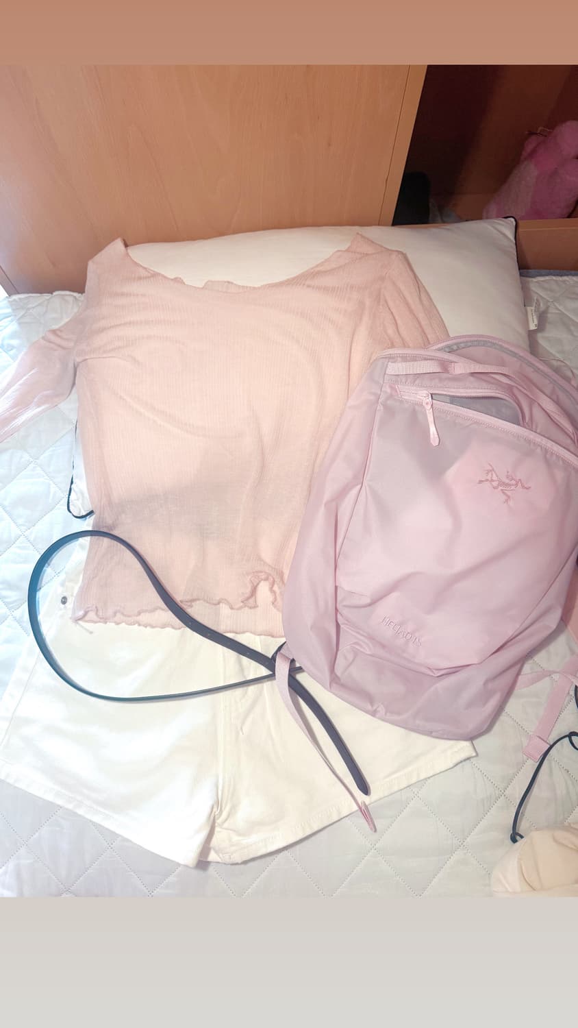 아크테릭스 헬리아드 핑크 백팩 상품이미지1