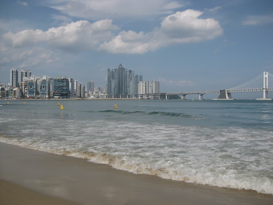 🩷핑크🩷 canon ixus 80 캐논 익서스 80 상품이미지8