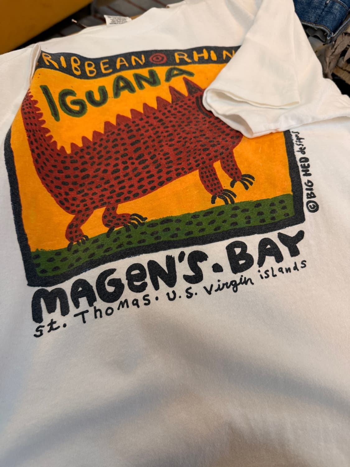  90S Big Hed Designs 이구아나 그래픽 L 상품이미지2
