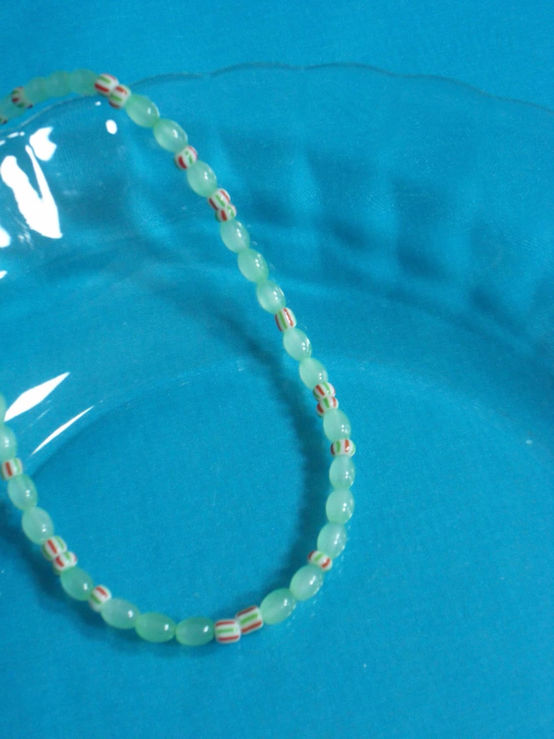 🍏🌱[4월의 애플민트] 상품이미지2