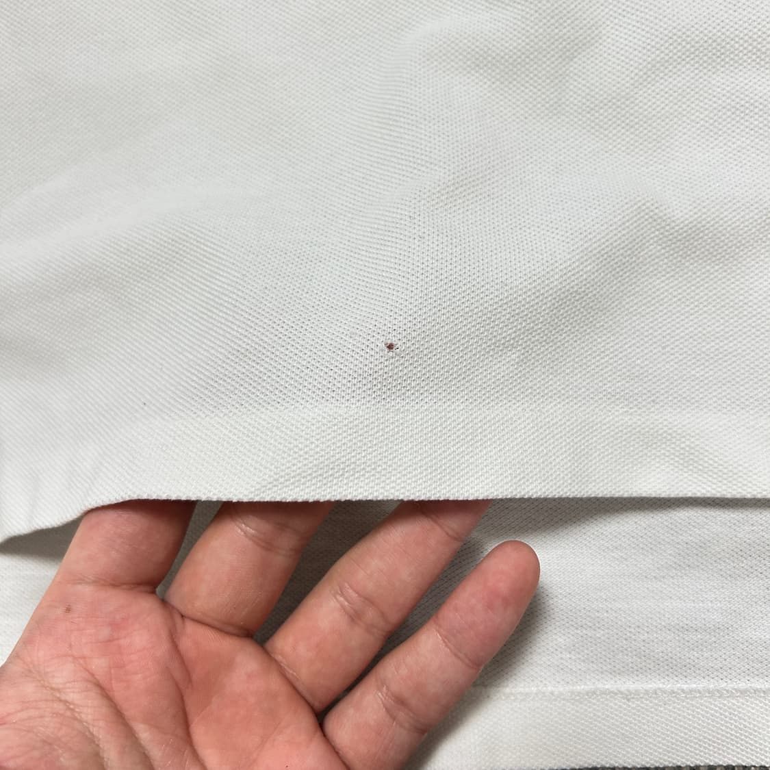 폴로 빅포니 치프키프 화이트 카라티(M) 상품이미지6