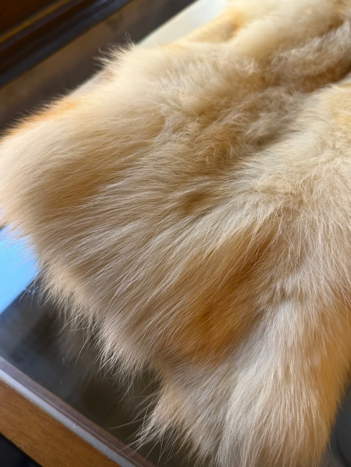 사가 폭스 퍼 베스트 55 상품이미지6