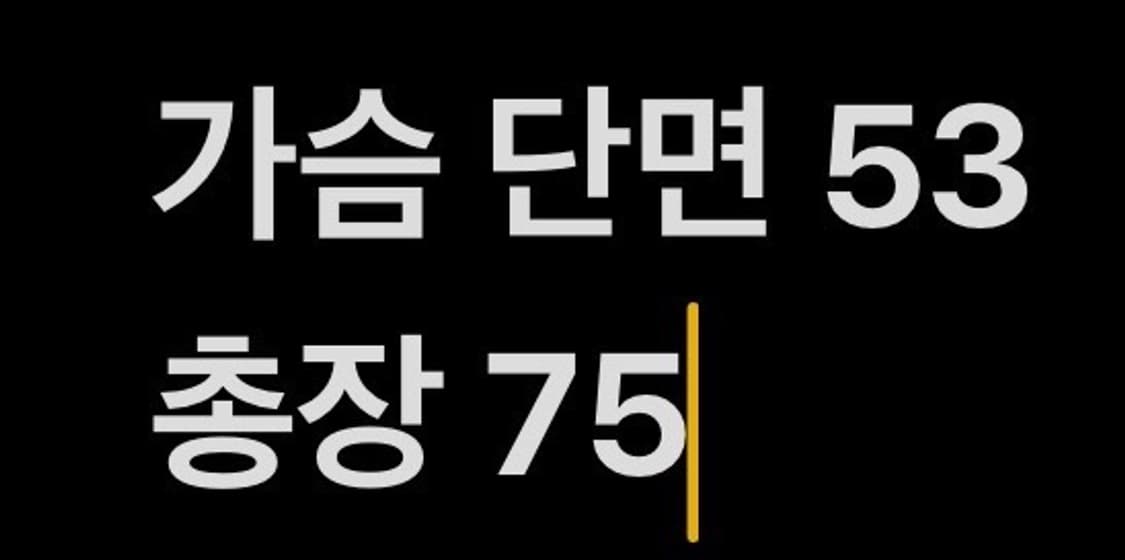[정품/95] 한화 이글스 원정 야구 유니폼 노마킹 b8 상품이미지6