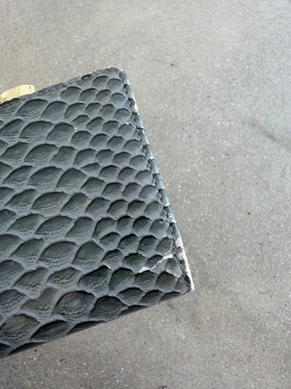 Vivienne Westwood wallet 상품이미지8