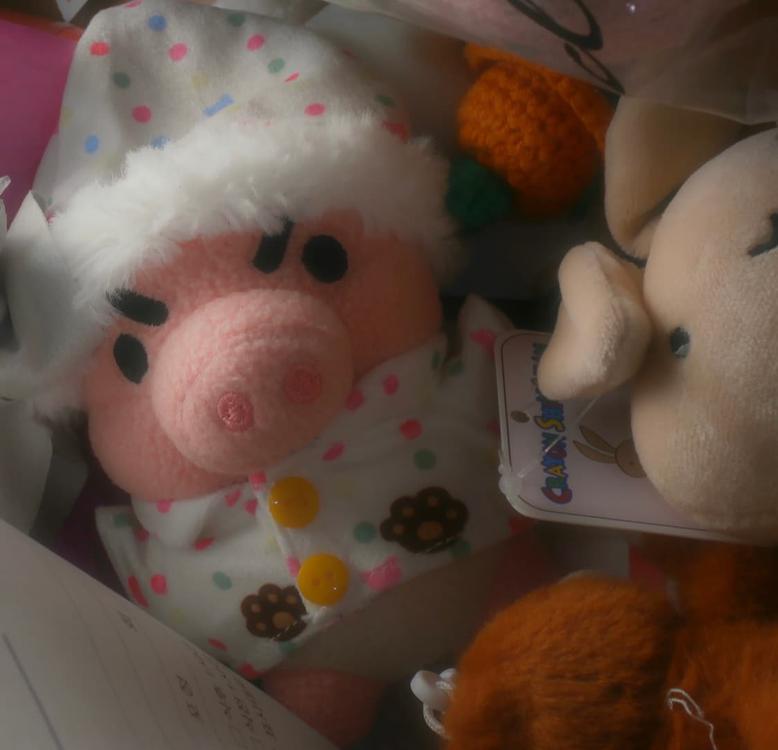 올림푸스 VH210 핑크 (소프트 포커스/작례O) 상품이미지7