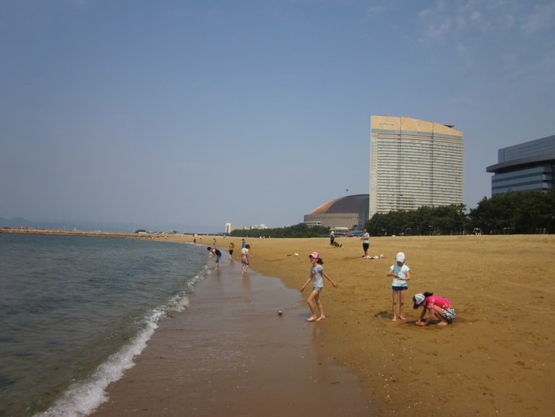 캐논 익서스 Canon IXUS 105 핑크 상품이미지3