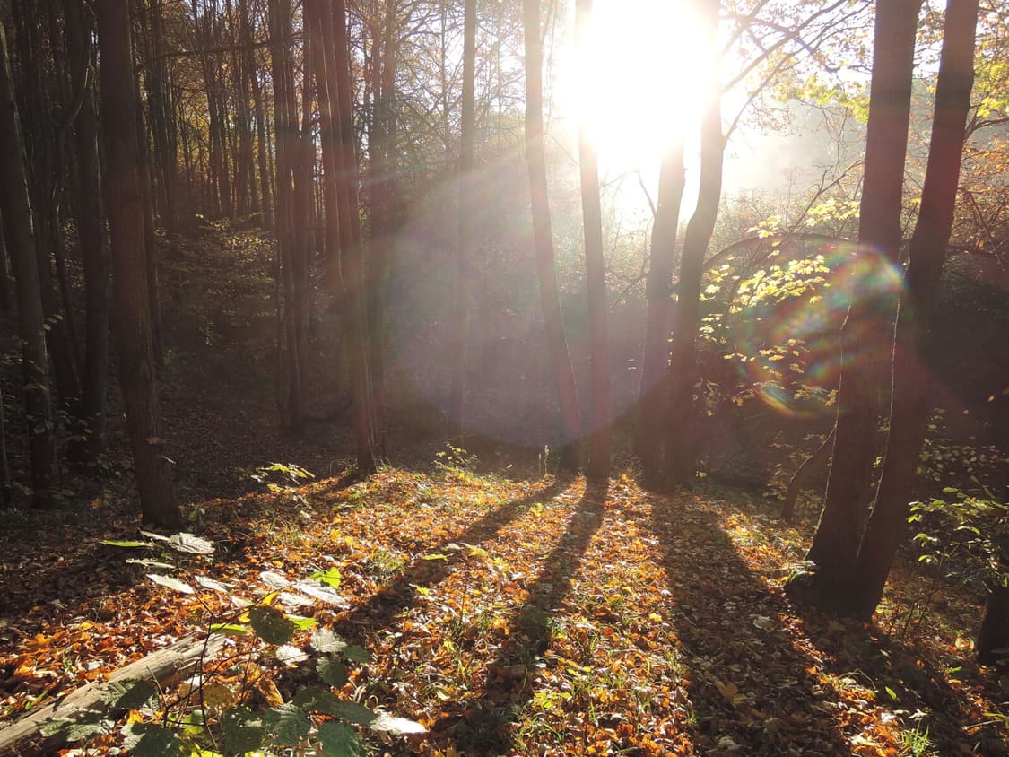 풀박/니콘 쿨픽스 p330 빈티지 디카 판매합니다 상품이미지9