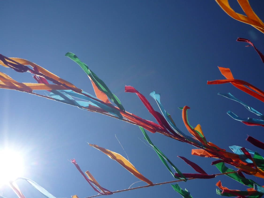 Canon Powershot A800 (캐논 파워샷 A800) 상품이미지8